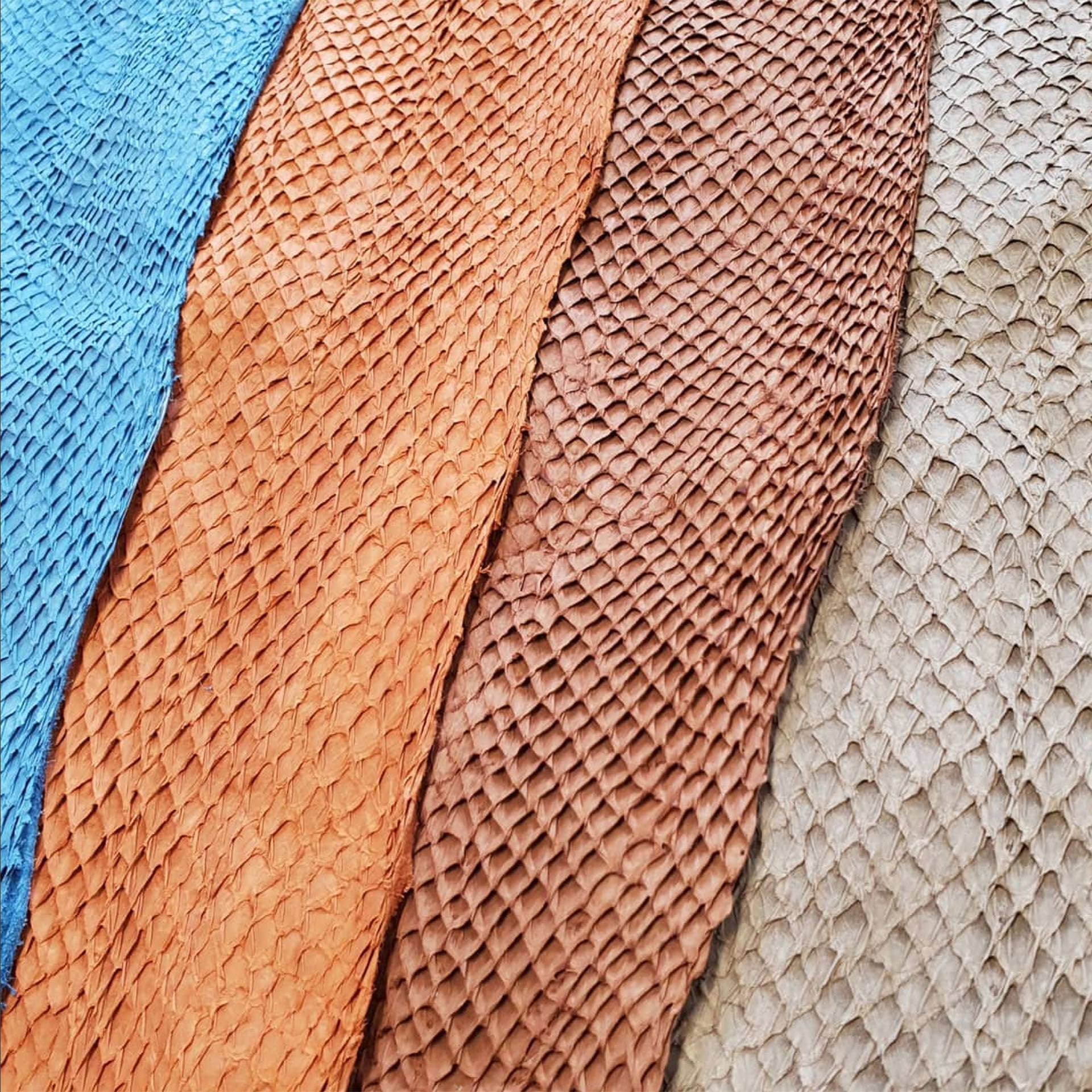 Fish Leather: The New Eco Luxury Fashion Trend