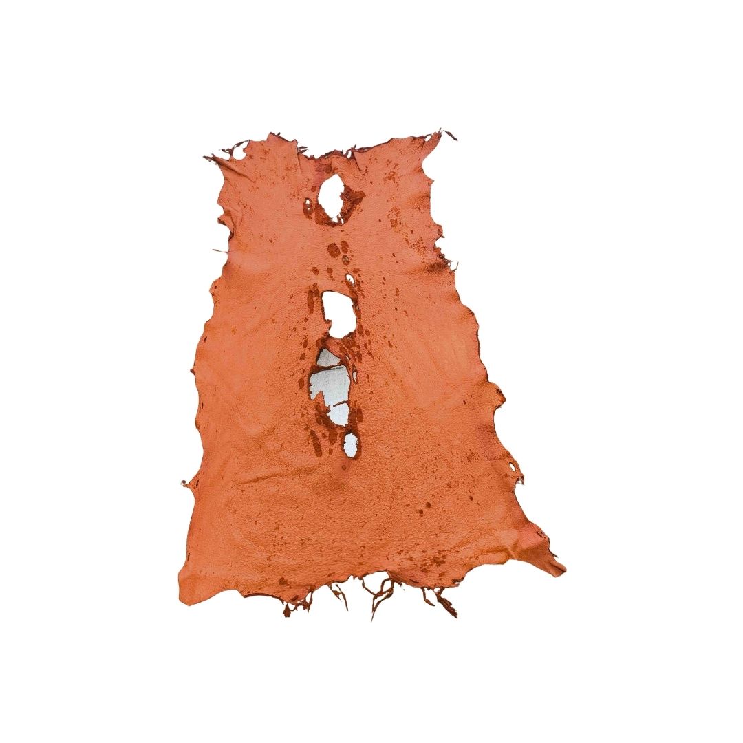 Peccary Leather Remnants - Pack 10 - Multiple colors