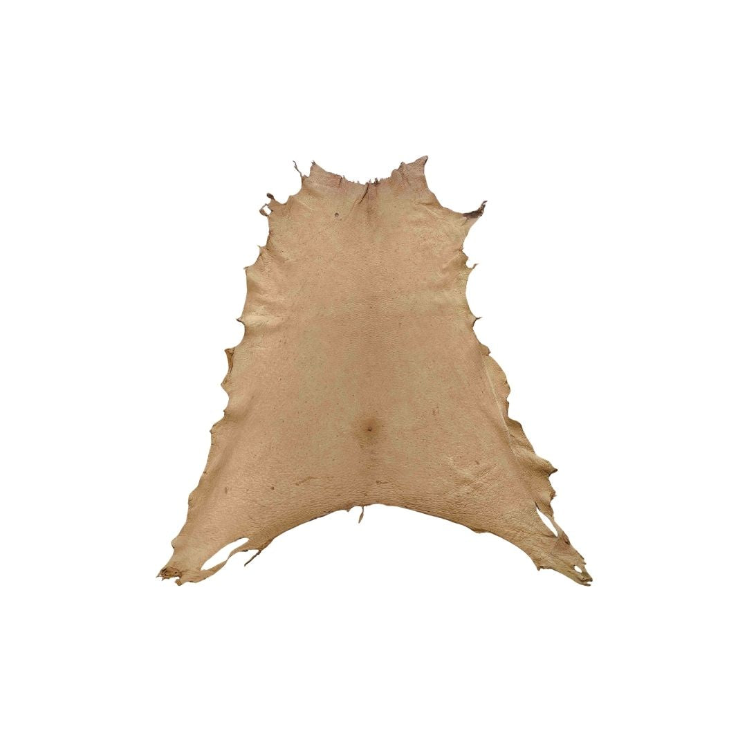 Peccary Leather Remnants - Pack 11 - Multiple colors