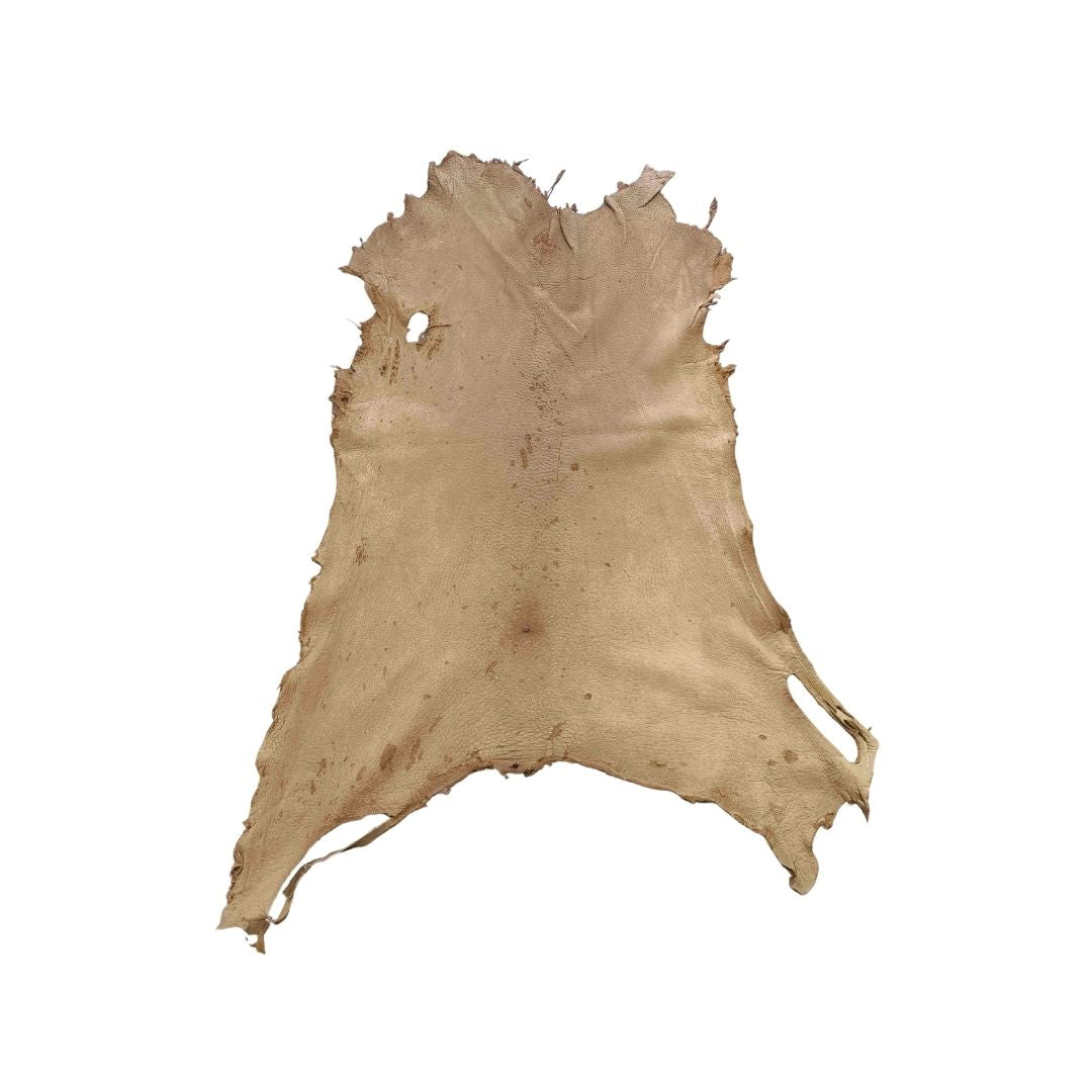 Peccary Leather Remnants - Pack 11 - Multiple colors