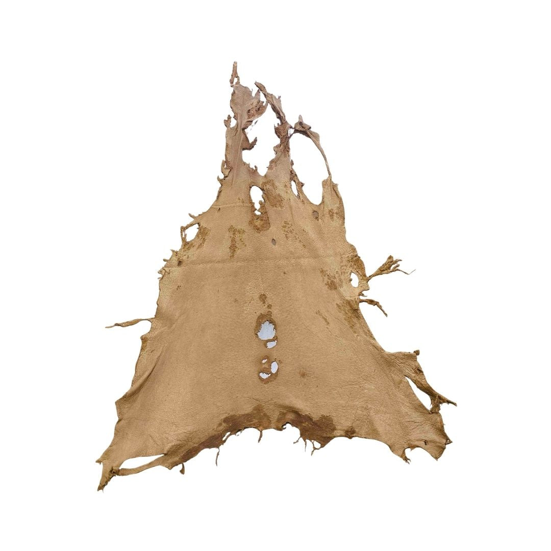 Peccary Leather Remnants - Pack 11 - Multiple colors