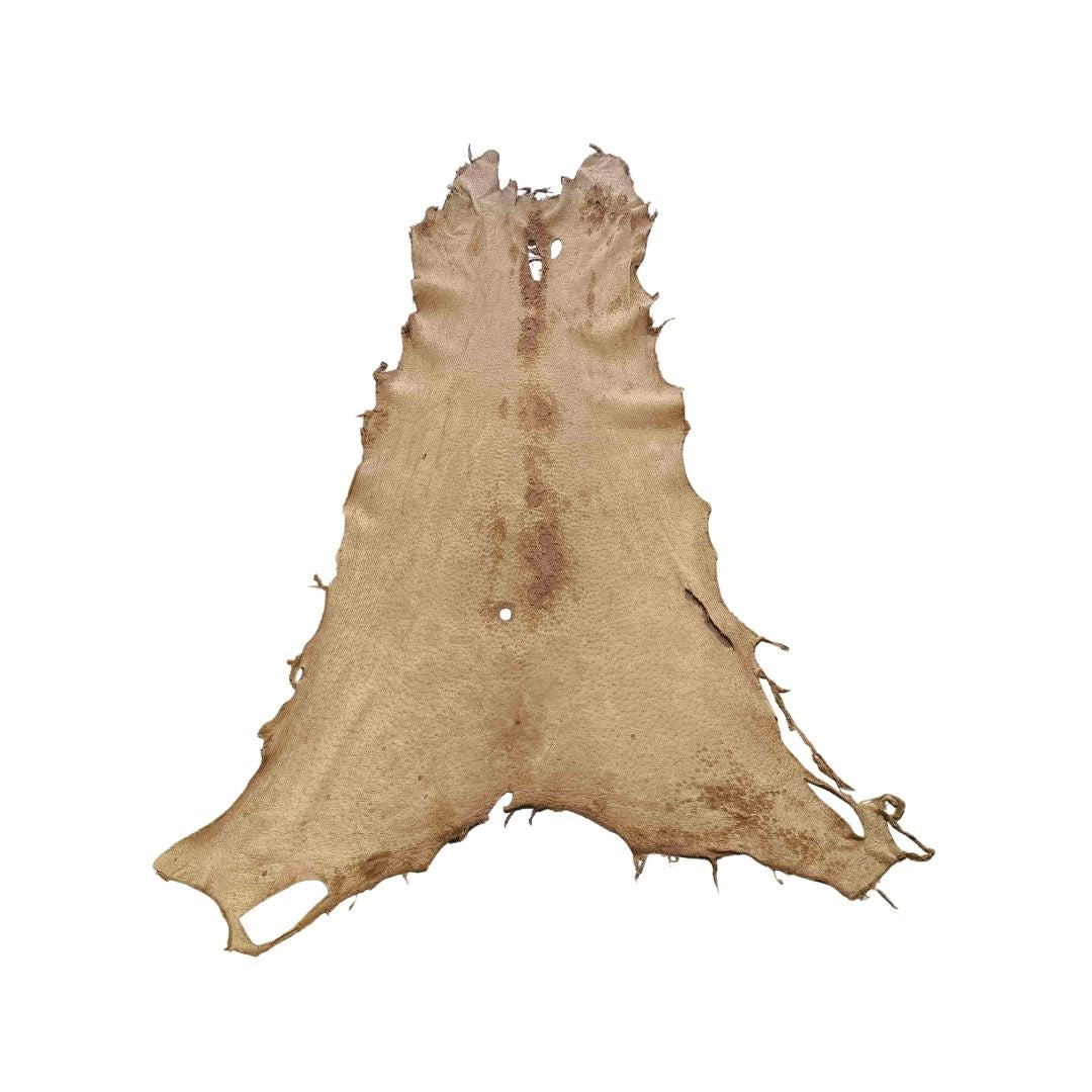 Peccary Leather Remnants - Pack 12 - Multiple Colors