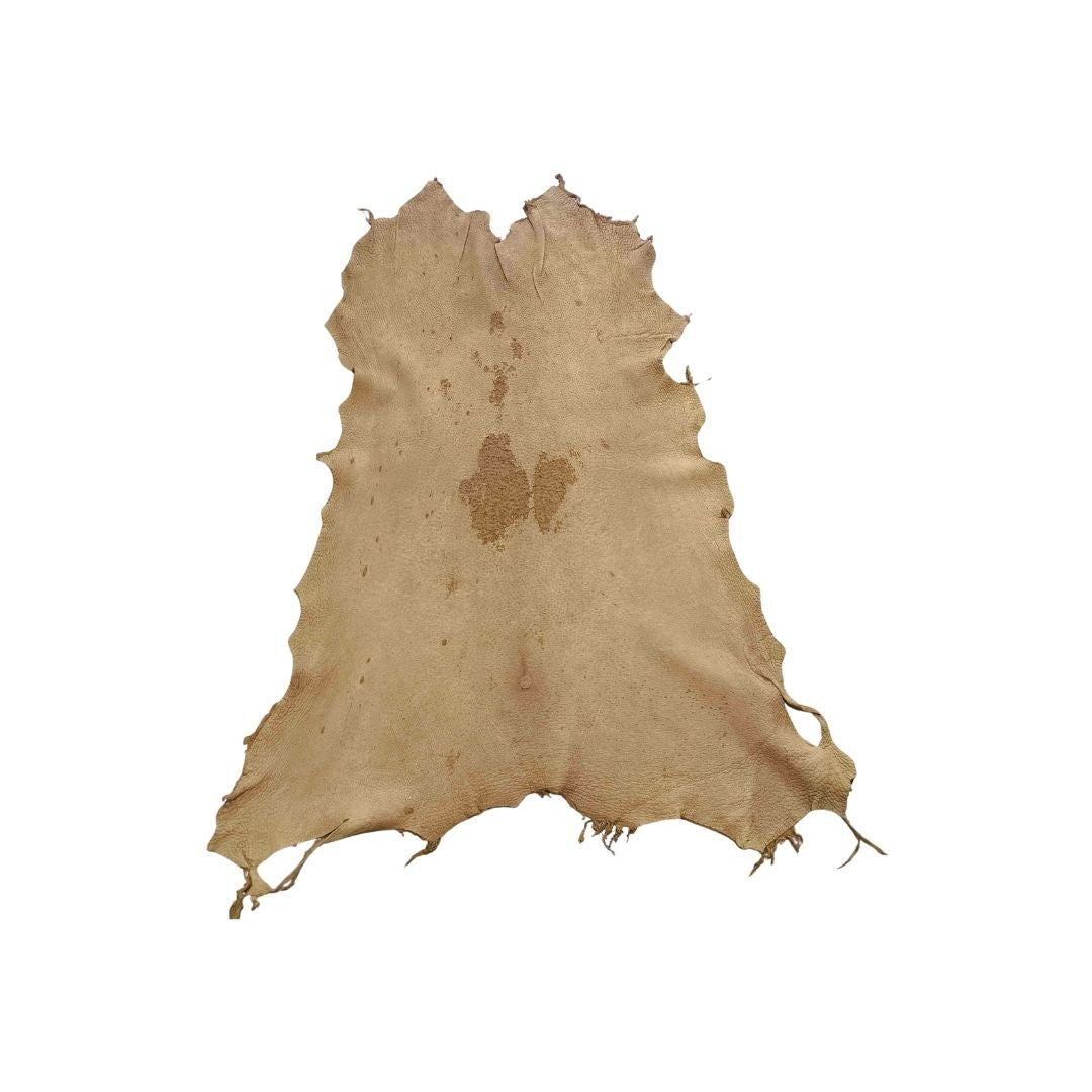 Peccary Leather Remnants - Pack 12 - Multiple Colors