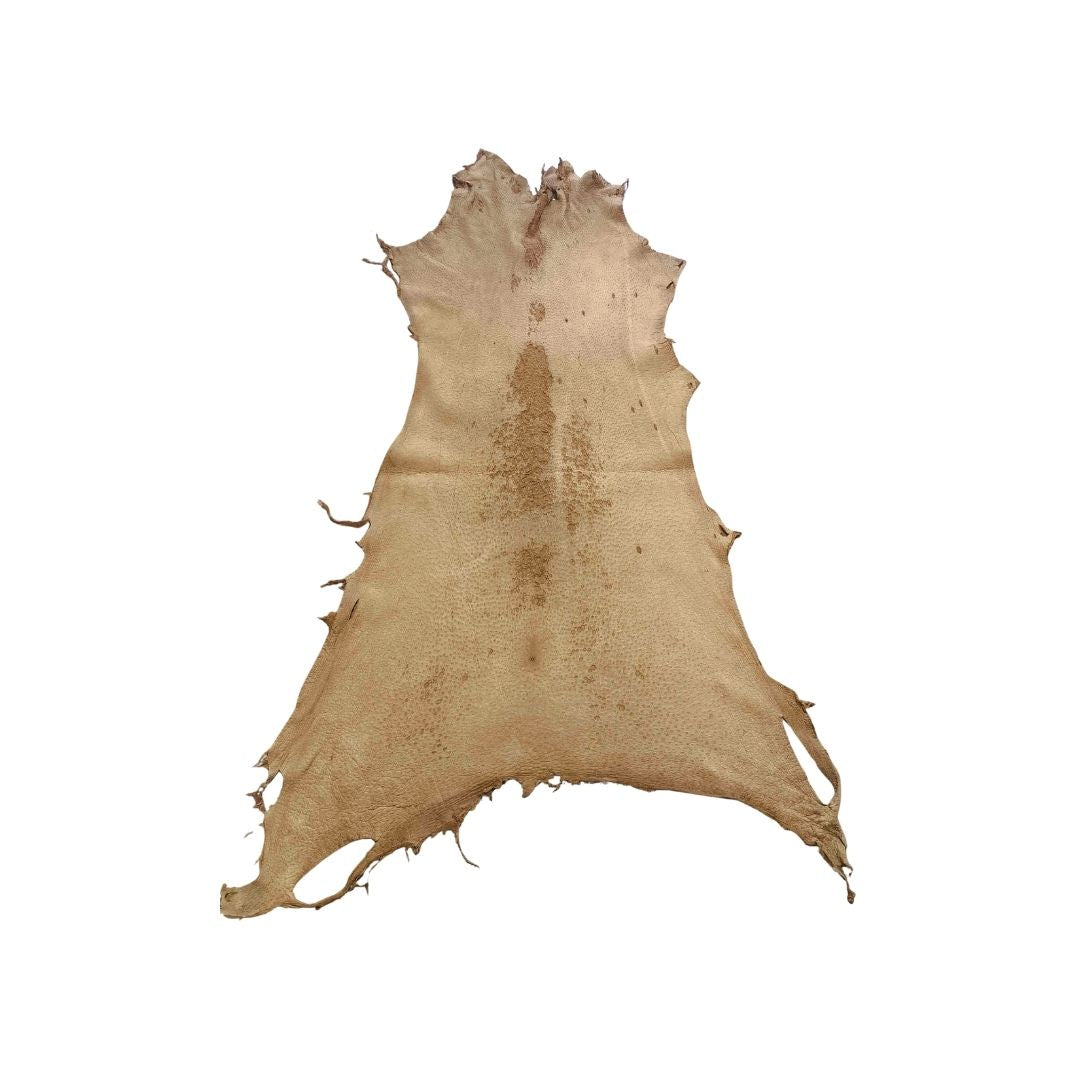 Peccary Leather Remnants - Pack 12 - Multiple Colors