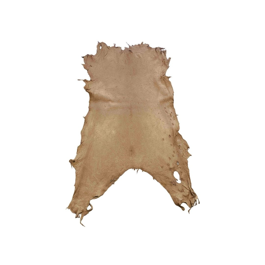 Peccary Leather Remnants - Pack 13 - Multiple Colors