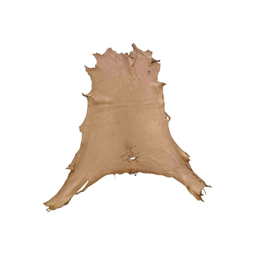 Peccary Leather Remnants - Pack 13 - Multiple Colors
