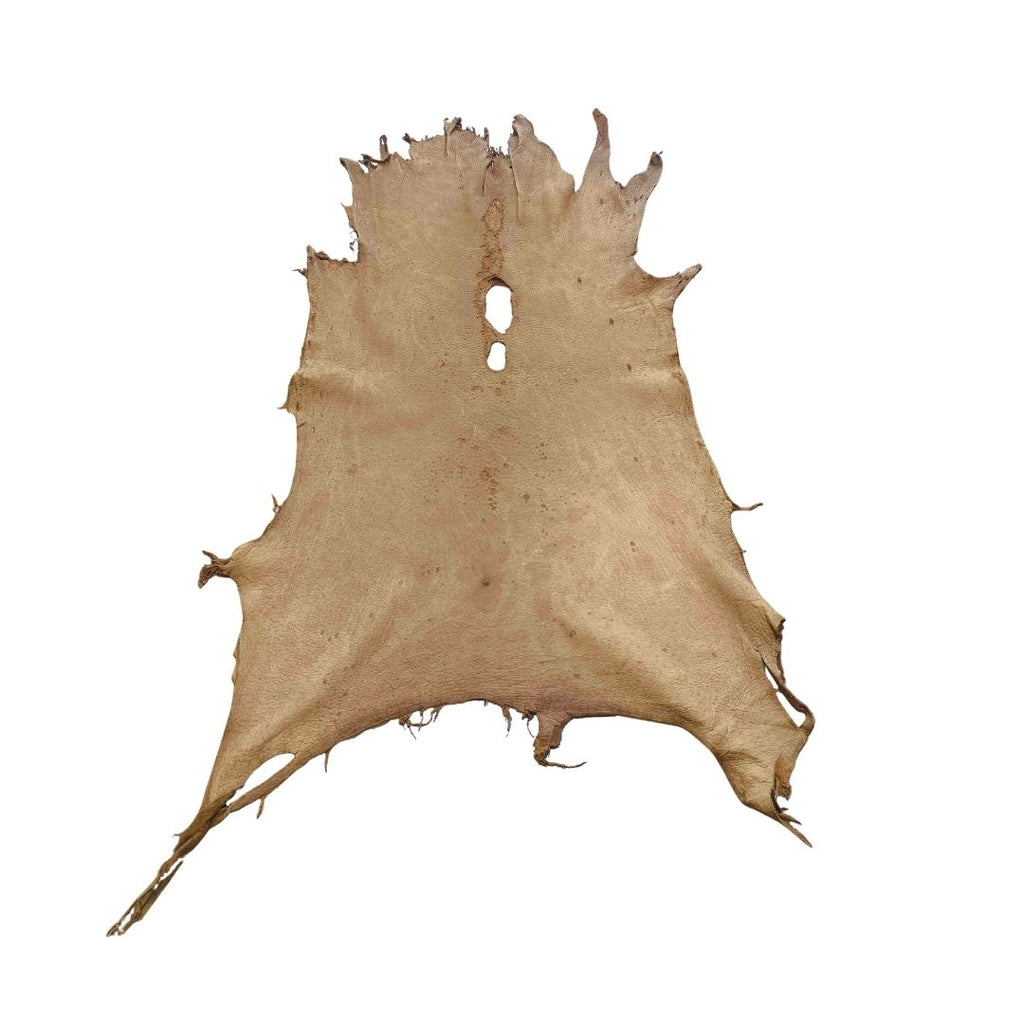 Peccary Leather Remnants - Pack 14 - Multiple Colors