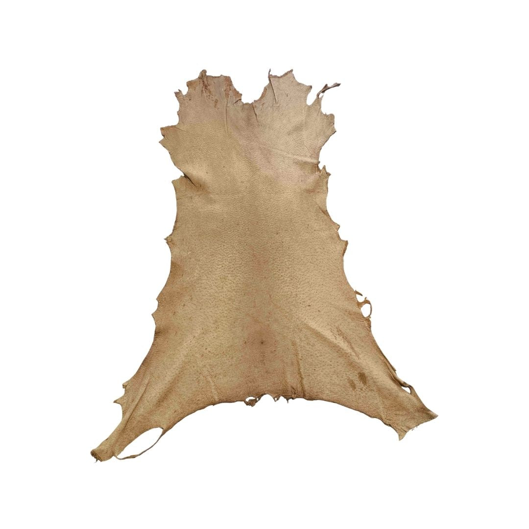 Peccary Leather Remnants - Pack 14 - Multiple Colors