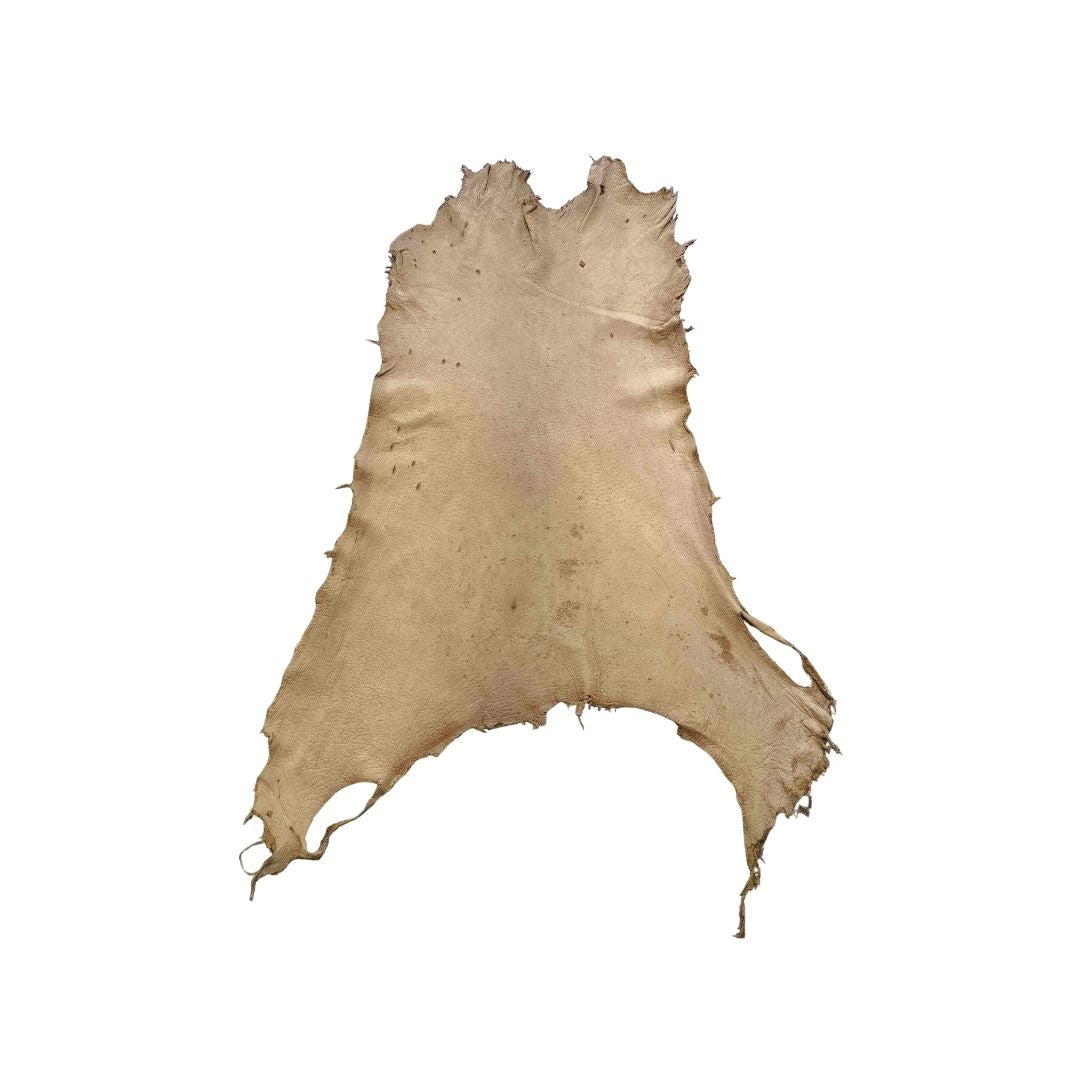 Peccary Leather Remnants - Pack 15 - Color Cork