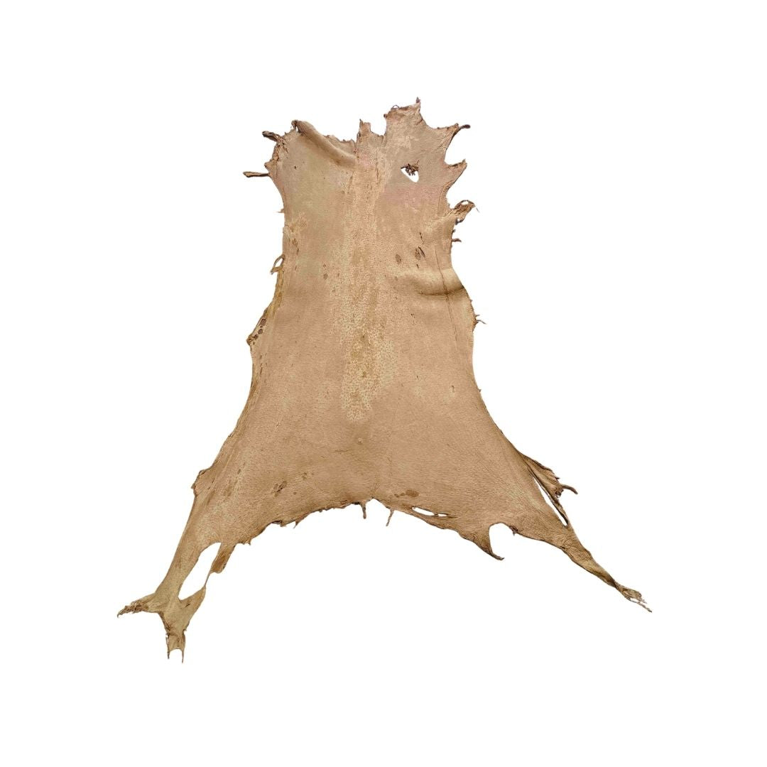 Peccary Leather Remnants - Pack 15 - Color Cork