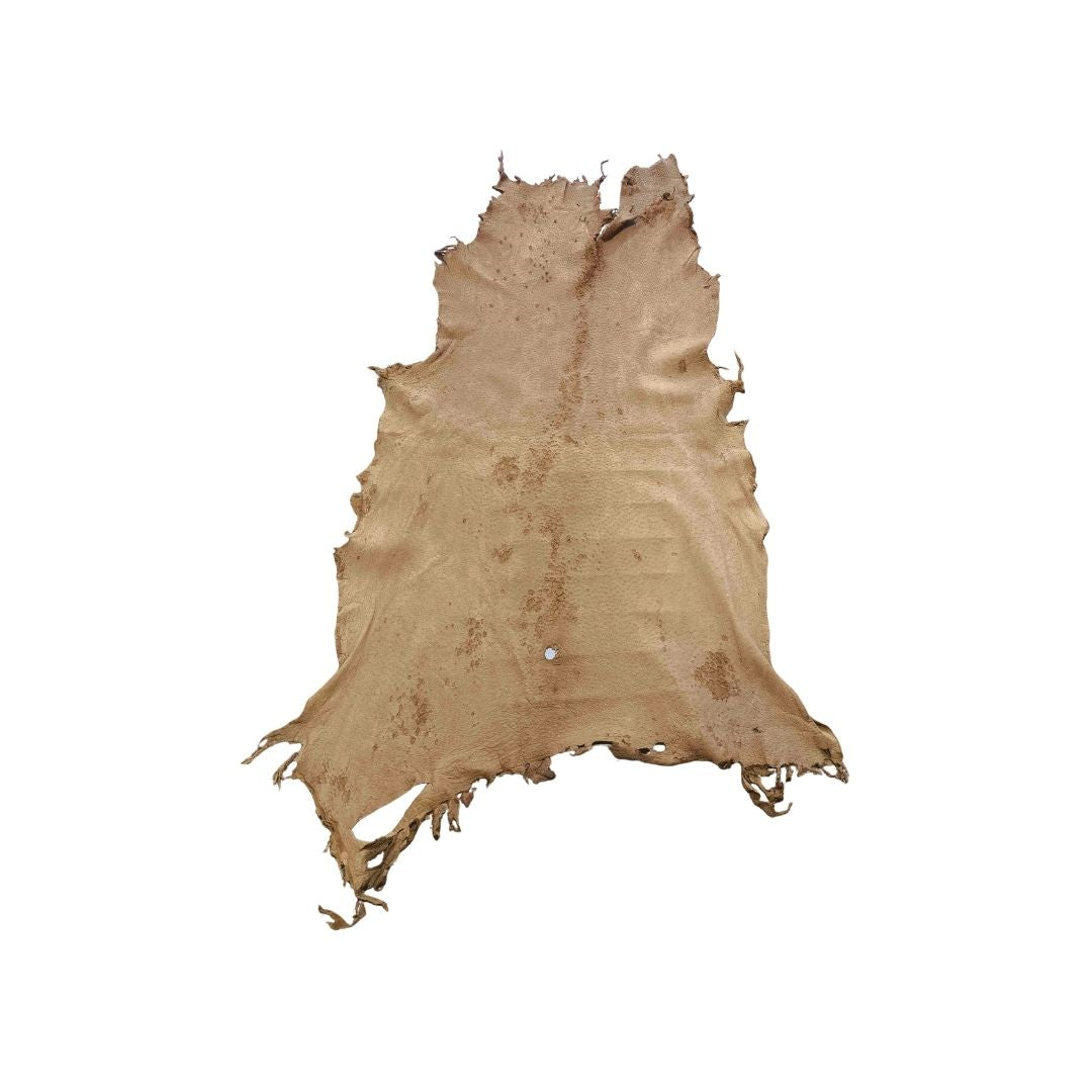 Peccary Leather Remnants - Pack 15 - Color Cork