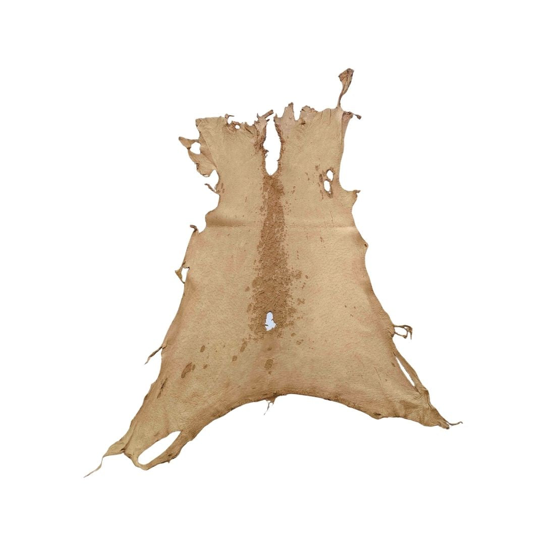 Peccary Leather Remnants - Pack 15 - Color Cork