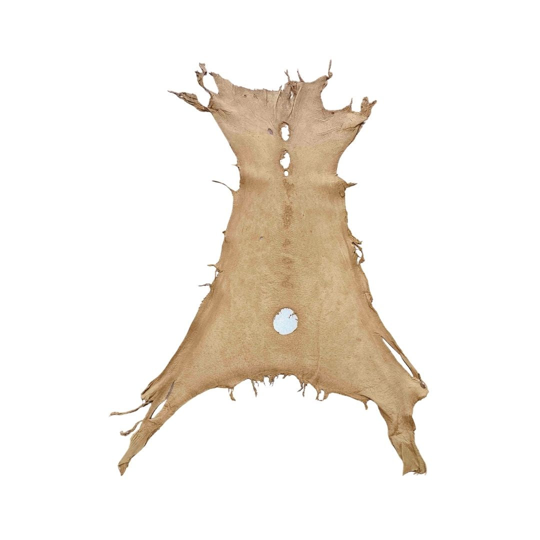 Peccary Leather Remnants - Pack 15 - Color Cork