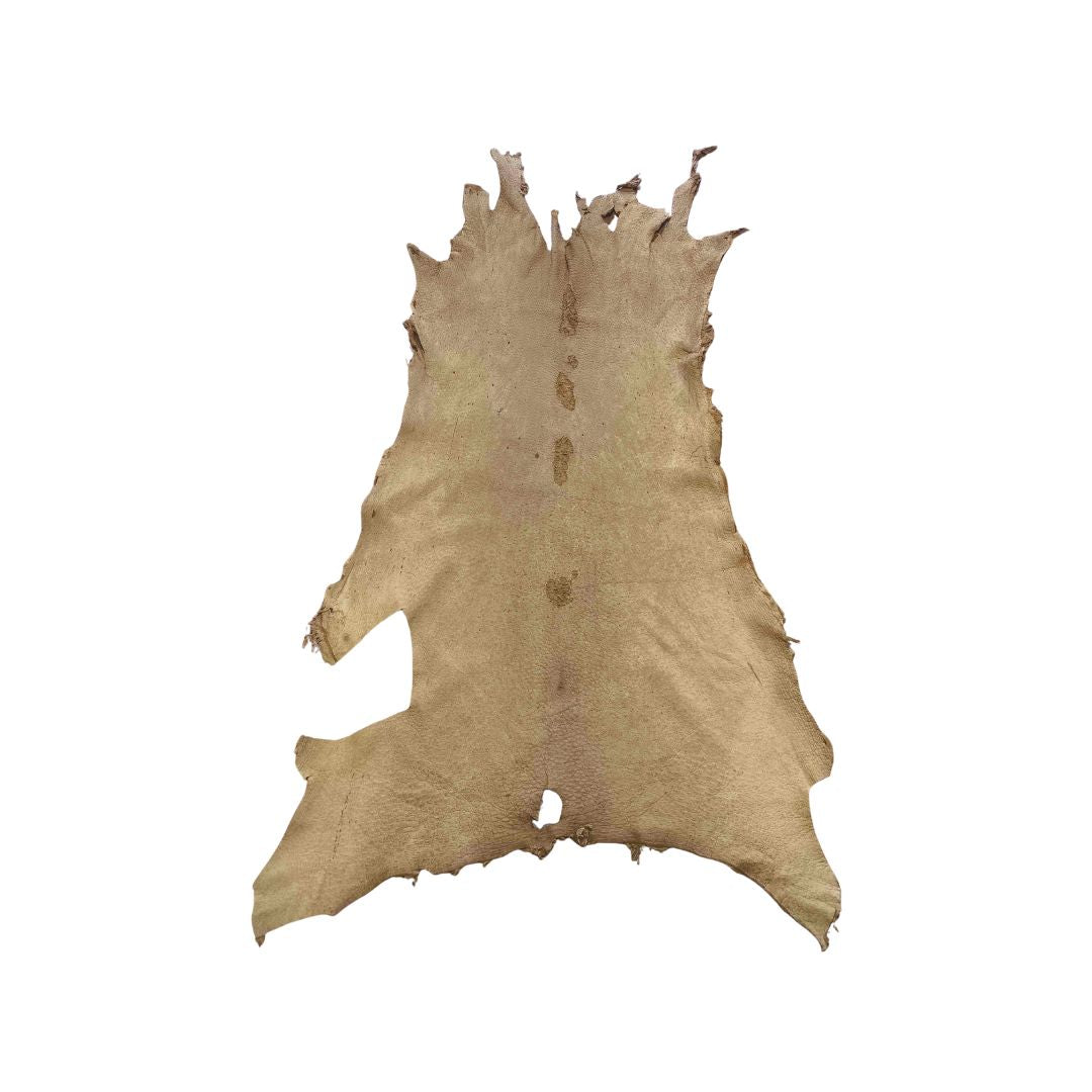 Peccary Leather Remnants - Pack 2 - Multiple colors