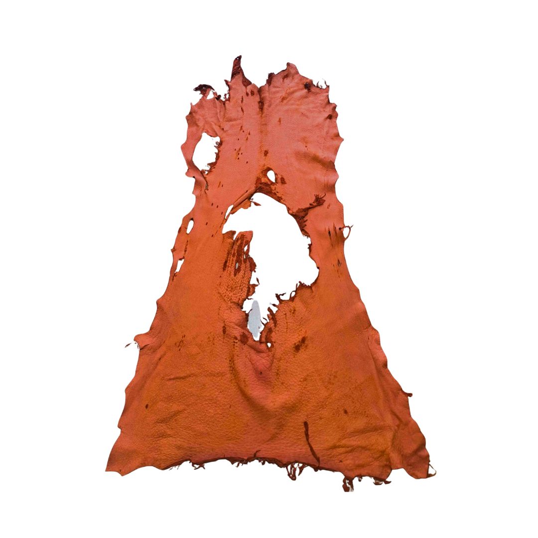 Peccary Leather Remnants - Pack 3 - Multiple colors