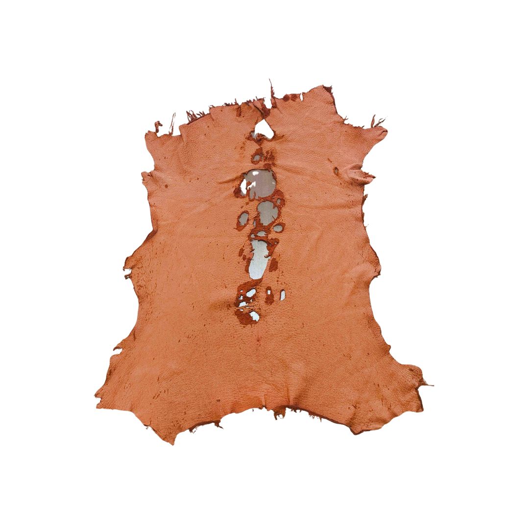 Peccary Leather Remnants - Pack 4 - Multiple colors