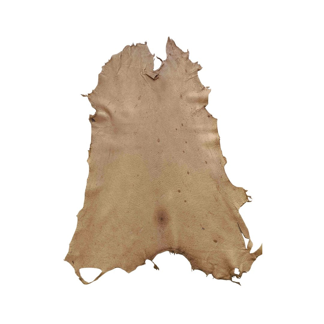 Peccary Leather Remnants - Pack 5 - Multiple colors