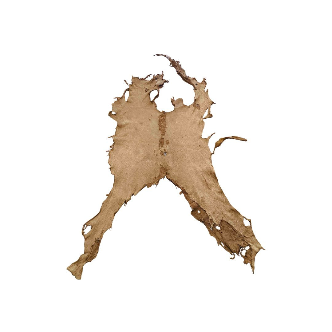 Peccary Leather Remnants - Pack 5 - Multiple colors