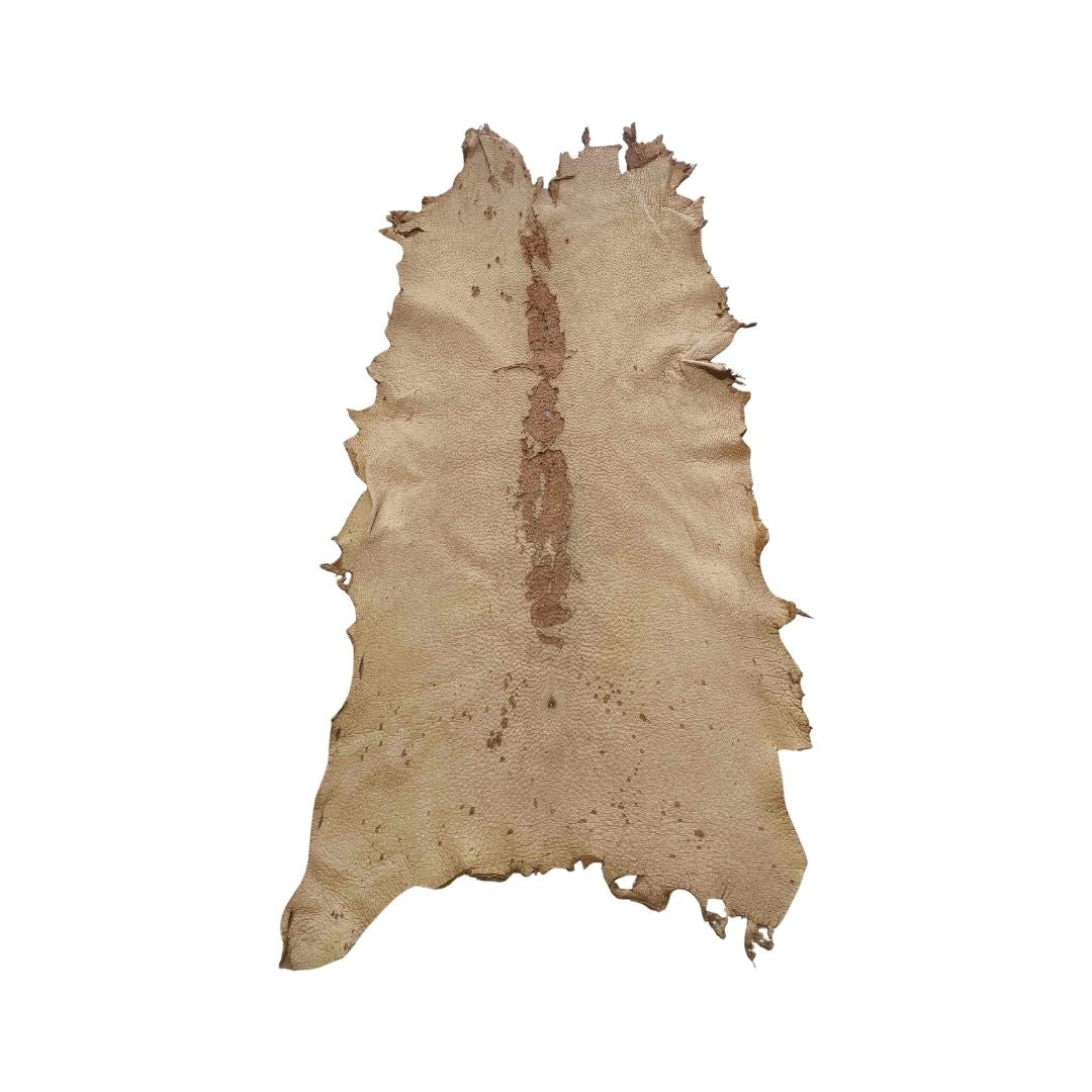 Peccary Leather Remnants - Pack 6 - Multiple colors