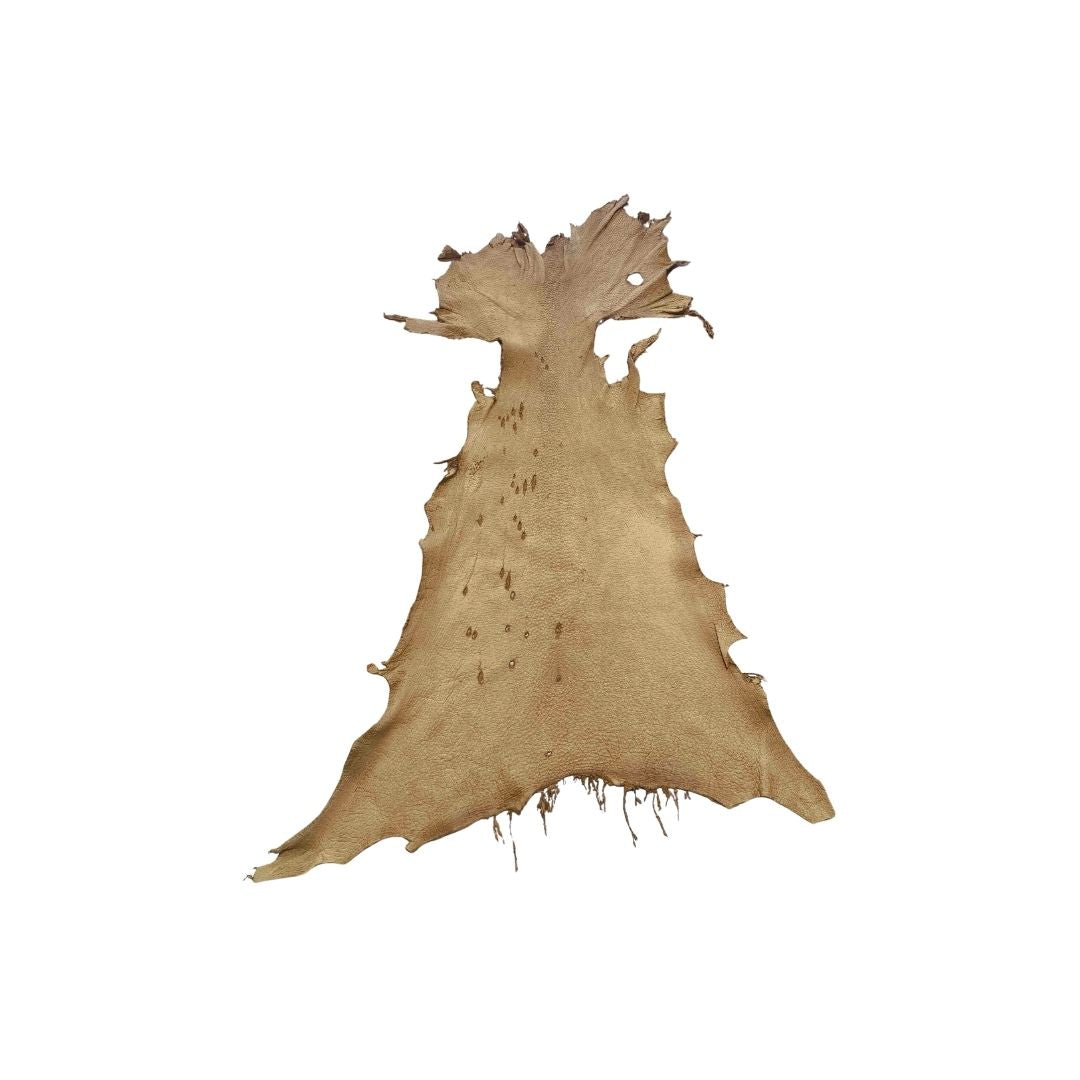 Peccary Leather Remnants - Pack 6 - Multiple colors