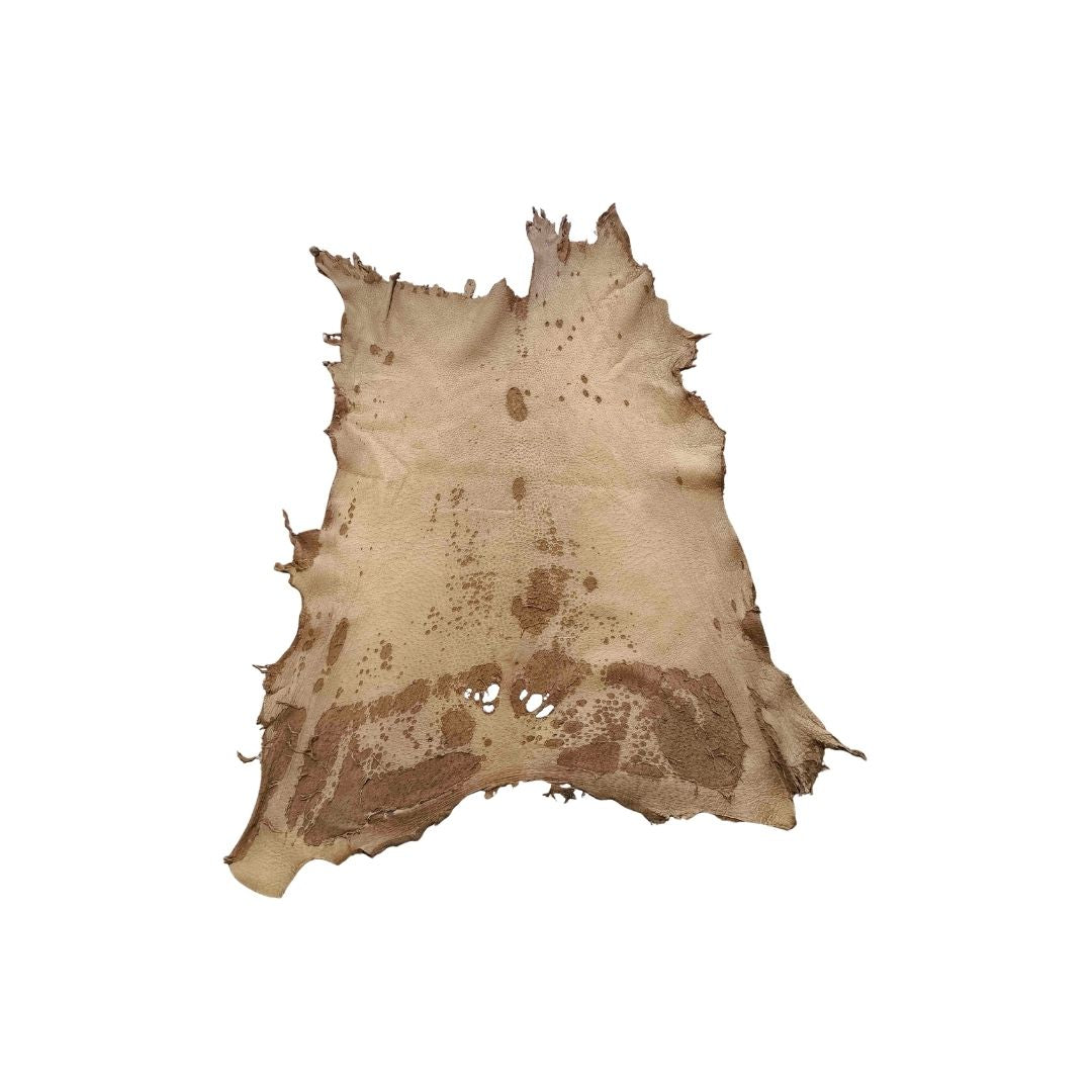 Peccary Leather Remnants - Pack 7  - Multiple colors