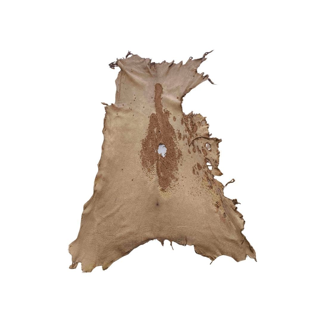 Peccary Leather Remnants - Pack 7  - Multiple colors