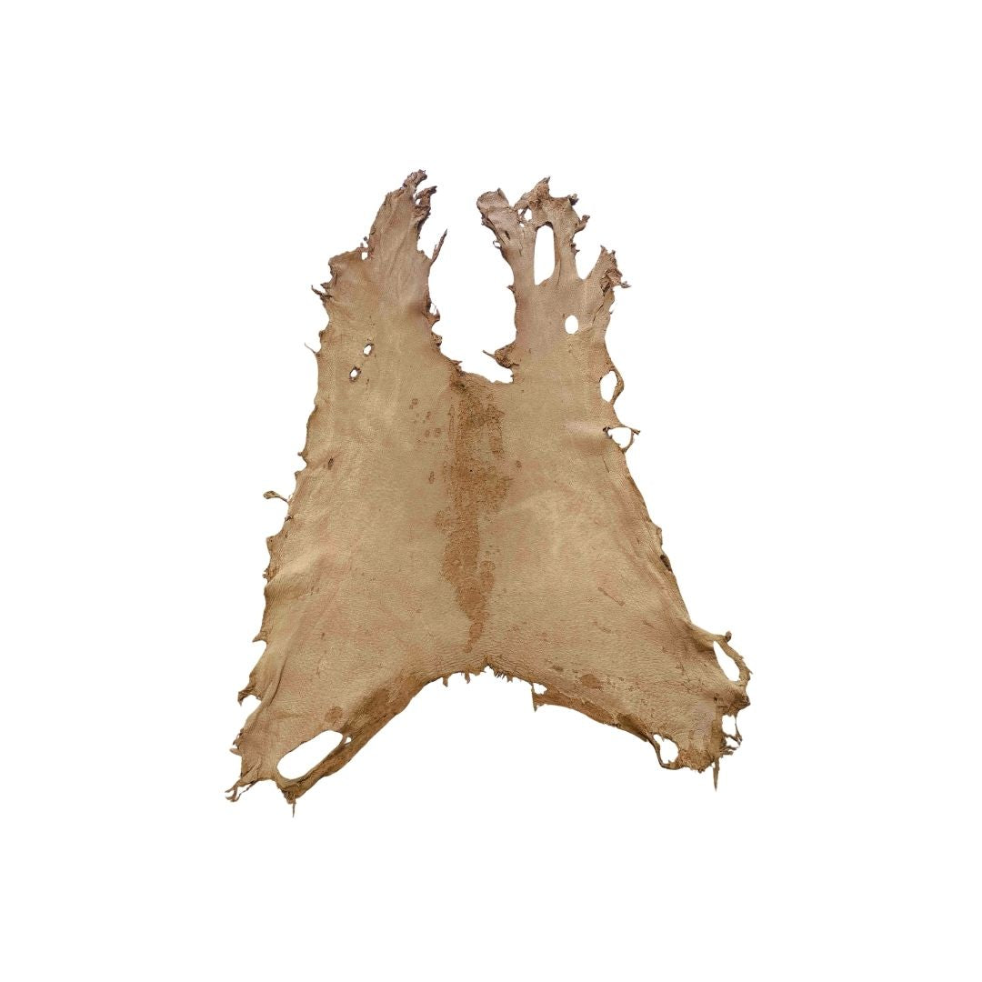 Peccary Leather Remnants - Pack 8  - Color Cork