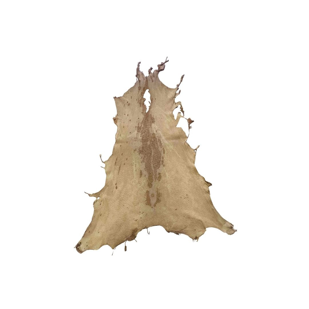 Peccary Leather Remnants - Pack 8  - Color Cork