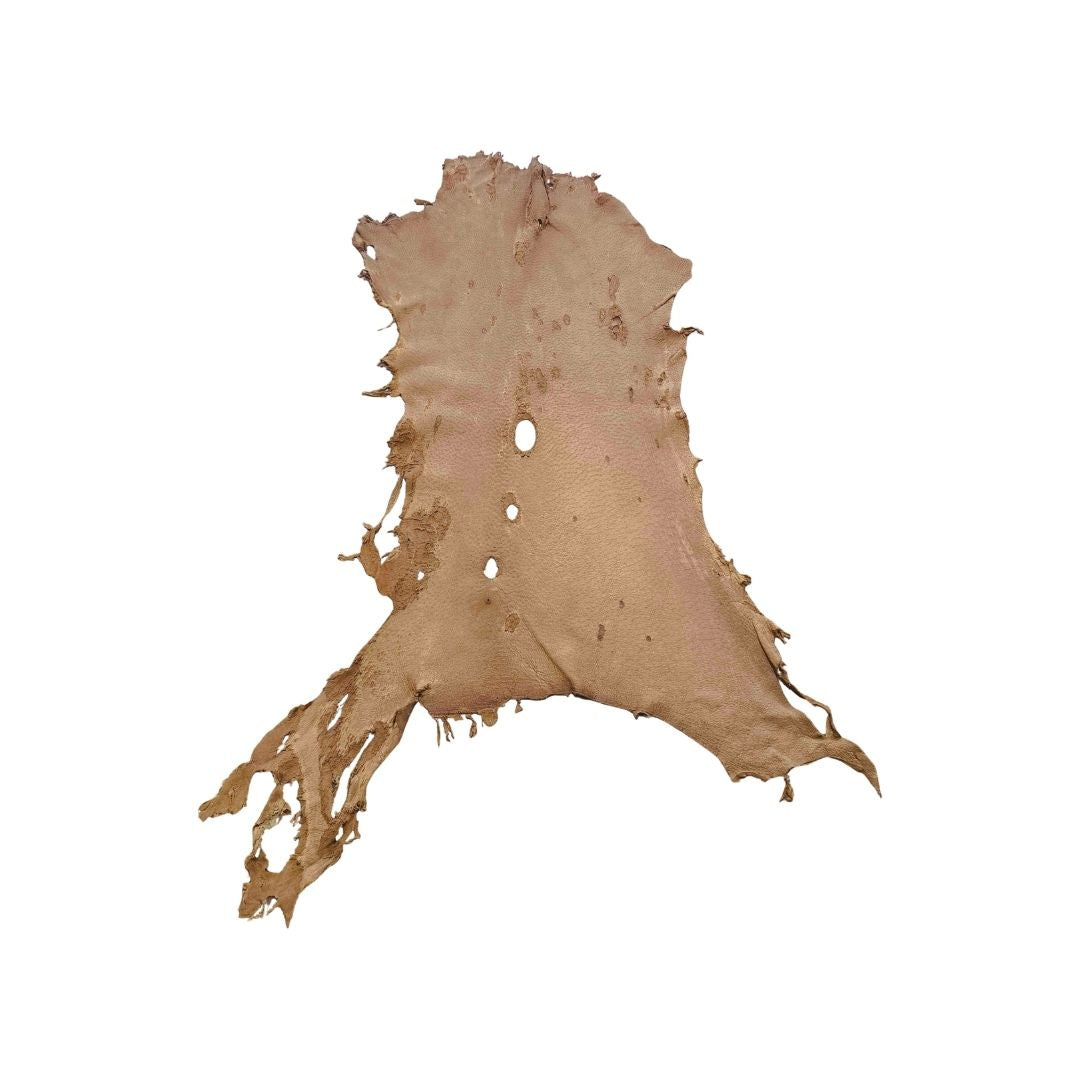 Peccary Leather Remnants - Pack 8  - Color Cork