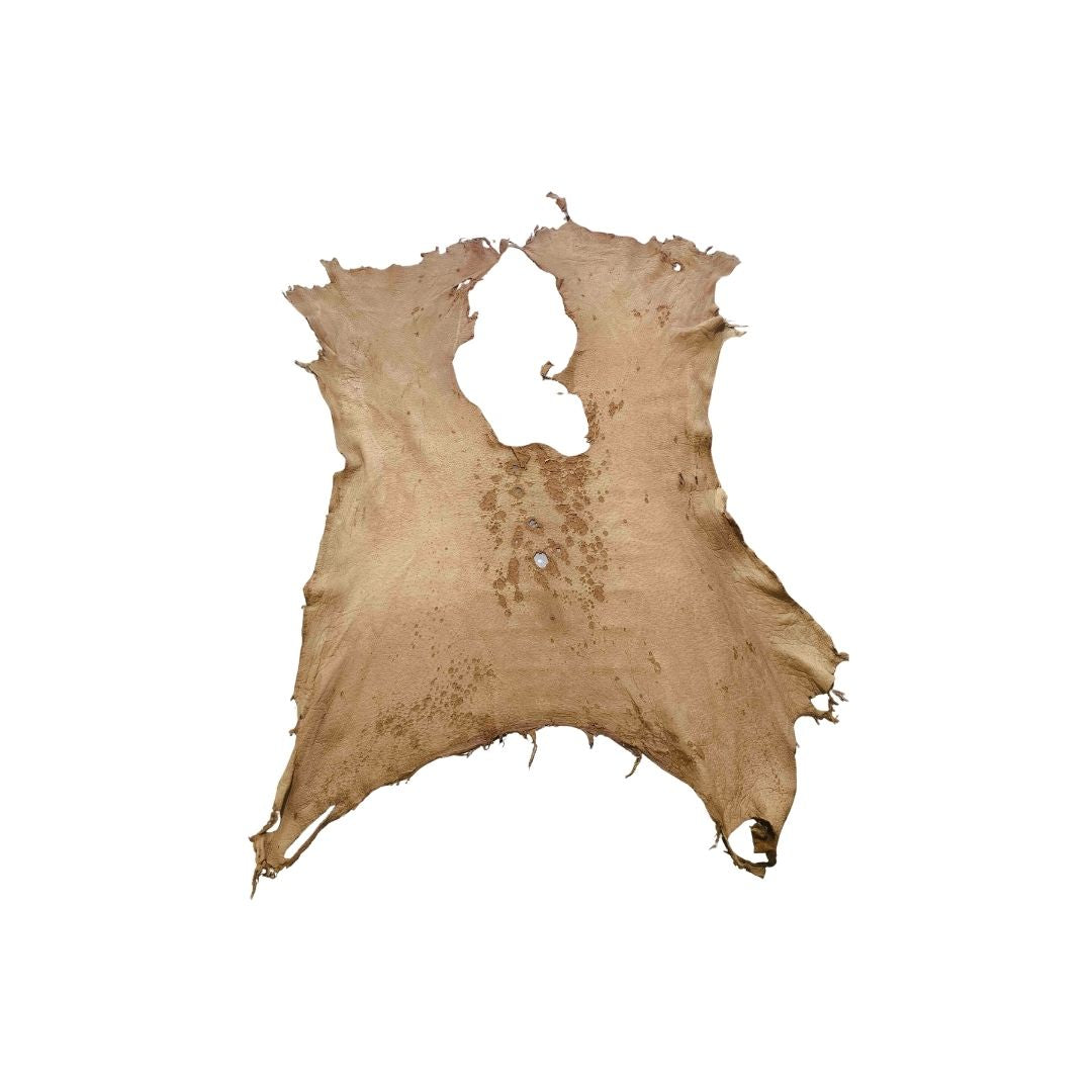 Peccary Leather Remnants - Pack 8  - Color Cork