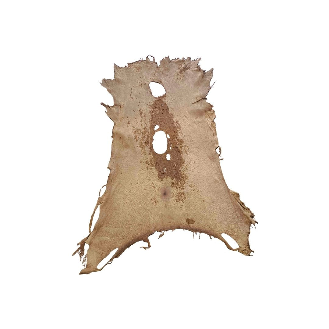 Peccary Leather Remnants - Pack 9 - Color Cork