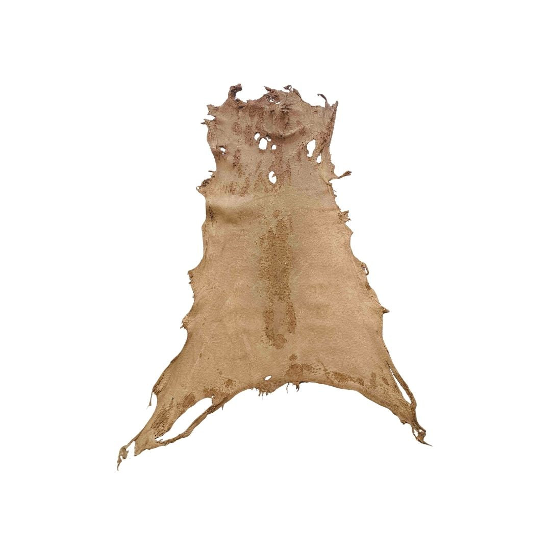 Peccary Leather Remnants - Pack 9 - Color Cork