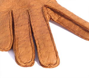 cork peccary gloves boris