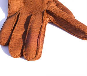 cork peccary gloves paula